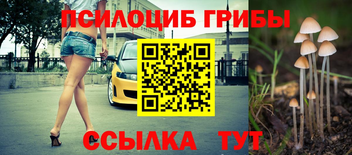 Галлюциногенные грибы мицелий  Галлюциногенные грибы мицелий  Вход с VPN  Ростов-на-Дону 