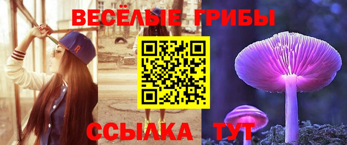 Псилоцибиновые грибы Magic Shrooms Ростов-на-Дону